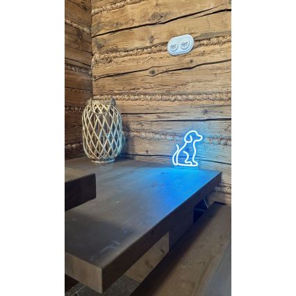 2Kids Toys - LED Neonska stona dekoracija LED/5W/USB pas