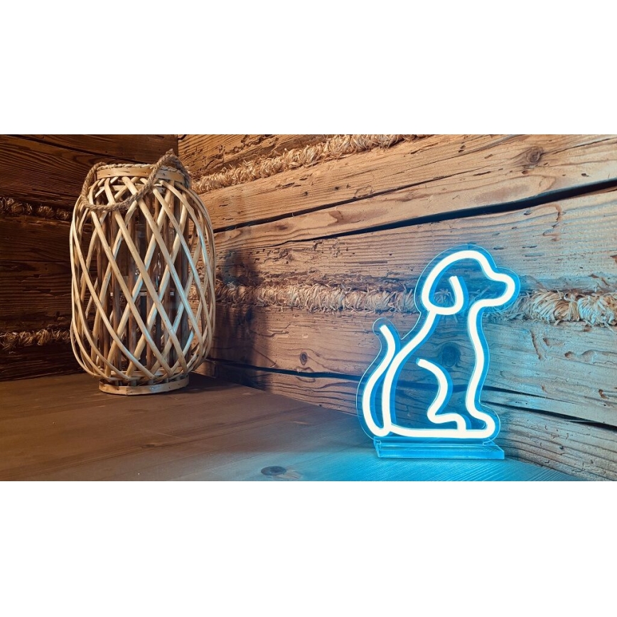 2Kids Toys - LED Neonska stona dekoracija LED/5W/USB pas