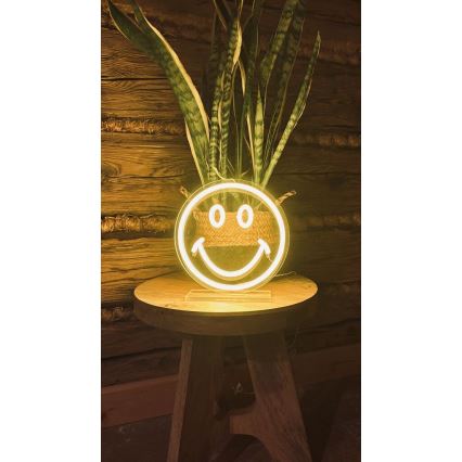2Kids Toys - LED Neonska stona dekoracija LED/5W/USB smajlić