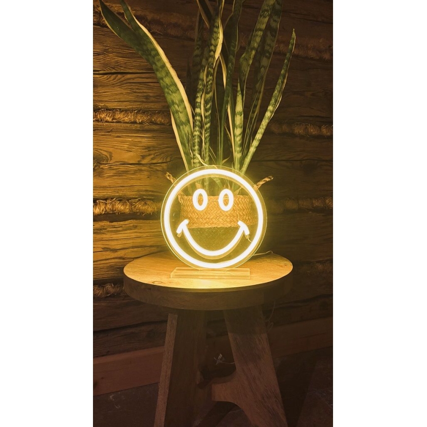 2Kids Toys - LED Neonska stona dekoracija LED/5W/USB smajlić