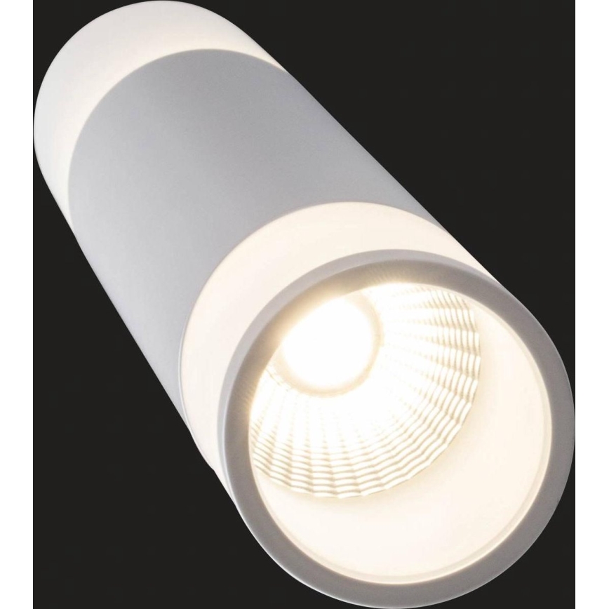 AEG - LED prigušiva luster na sajli ABBY LED/10W/230V