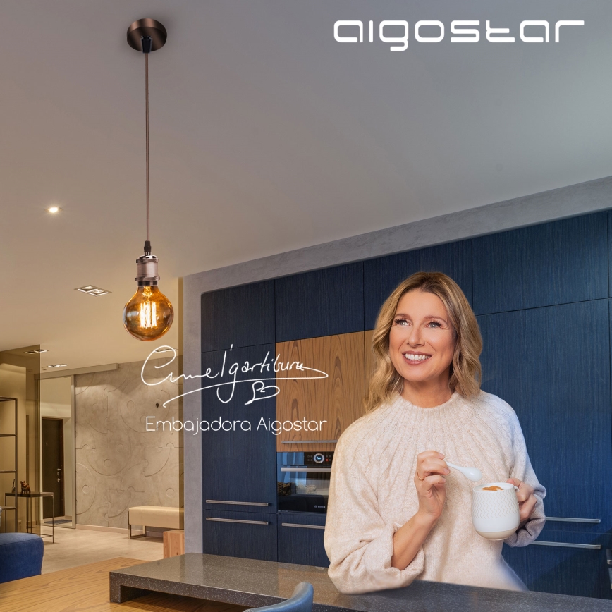 Aigostar - Kabl za napajanje 1xE27/60W/230V bakrena