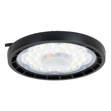 Aigostar - LED Industrijska prigušivi vanjska lampa MESH High Bay LED/100W/230V 4000K IP65