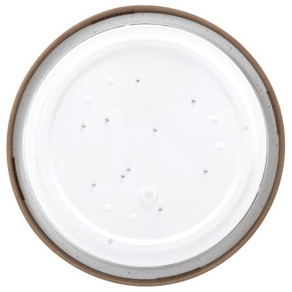 Aigostar - LED Plafonjera LED/12W/230V 3000K pr. 26,3 cm