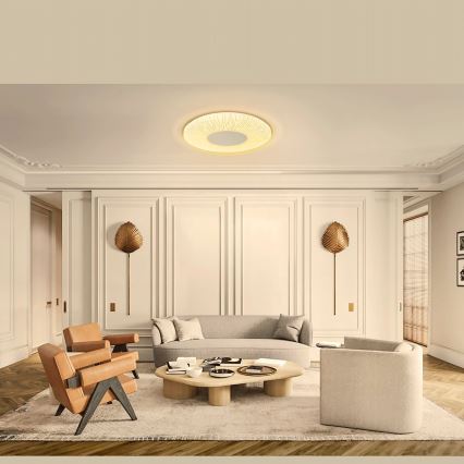 Aigostar - LED Plafonjera LED/12W/230V 3000K pr. 26cm