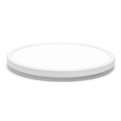Aigostar - LED plafonjera za kupatilo LED/18W/230V 6500K pr. 30 cm IP44