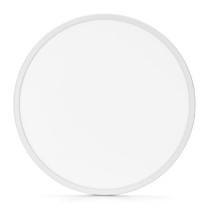 Aigostar - LED plafonjera za kupatilo LED/40W/230V 6500K pr. 54 cm IP44