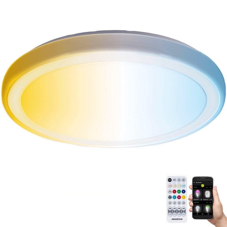 Aigostar - LED Plafonjera za kupatilo MESH LED/24W/230V 3000-6500K IP44 + Daljinski upravljač