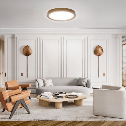 Aigostar - LED plafonska svetiljka LED/24W/230V 6500K prečnik 38,3 cm