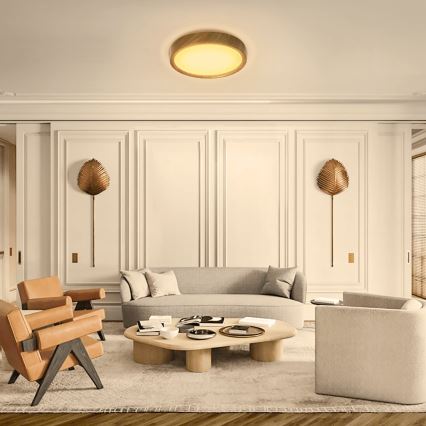 Aigostar - LED plafonsko svetlo LED/20W/230V 3000K prečnik 33,7 cm