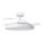 Aigostar - LED Prigušiva plafonjera sa ventilatorom MESH LED/50W/230V 2700-6500K crno + Daljinski upravljač