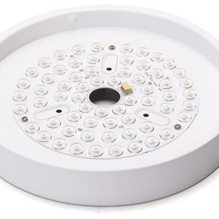 Aigostar - LED Prigušivi plafonski ventilator LED/24W/230V 2700-6500K pr. 165 cm + Daljinski upravljač bela