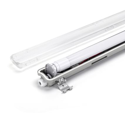 Aigostar - LED Radna fluorescentna cev 1xG13/9W/230V 4000K 66,6 cm IP65