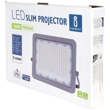Aigostar - LED Reflektor LED/100W/230V sivo 6500K IP65