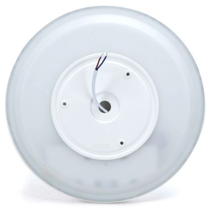 Aigostar - LED RGBW Prigušiva plafonjera MESH LED/24W/230V 3000-6500K bela + Daljinski upravljač