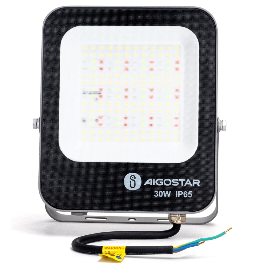 Aigostar - LED RGBW Reflektor MESH MESH LED/30W/230V 6500K IP65 + Daljinski upravljač