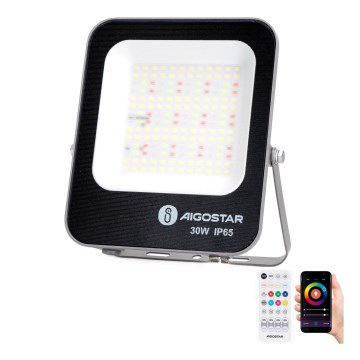 Aigostar - LED RGBW Reflektor MESH MESH LED/30W/230V 6500K IP65 + Daljinski upravljač