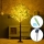 Aigostar - LED solarna dekoracija 285xLED/3,8m IP65 topla bela olive