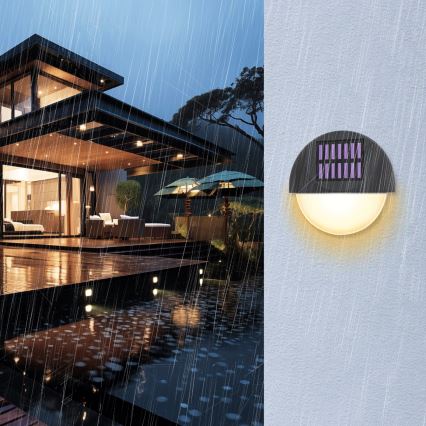 Aigostar - LED Solarna zidna rasveta LED/1W/1,2V crno 2700K IP44