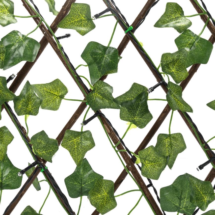 Aigostar - LED solarni lanac 56xLED/2x0,4m IP65 topla bela ivy