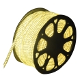 Aigostar - LED Spoljašnja traka 50m LED/350W/230V 3000K IP65