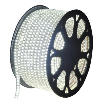 Aigostar - LED Spoljašnja traka 50m LED/350W/230V 6500K IP65