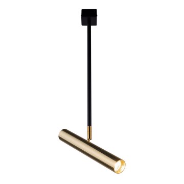 Amplex - Viseći luster 1xGU10-MR11/15W/230V crno/mesing