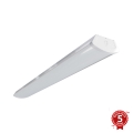 APLED - LED nadgradno svetlo TROUT LED/72W/230V 4000K