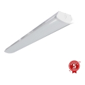 APLED - LED plafonsko svetlo TROUT LED/36W/230V 4000K