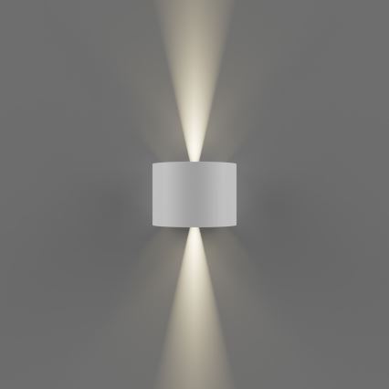 APLED - LED Spoljna zidna lampa OVAL 2xLED/3W/230V IP65