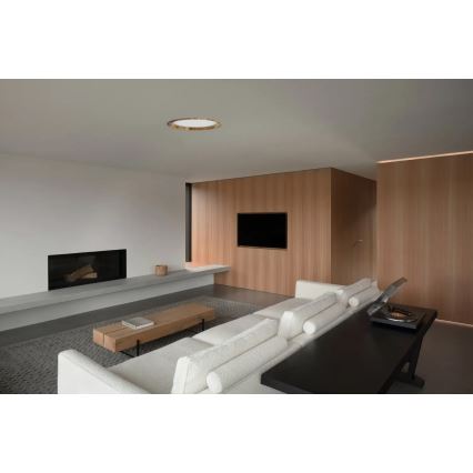 APLED - LED Ugradbena lampa RONDO WOODLINE LED/18W/230V 3000K pr. 26 cm jasen masivno drvo