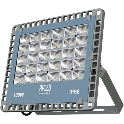APLED - LED Vanjski reflektor PRO LED/100W/230V IP66 10000lm 6000K