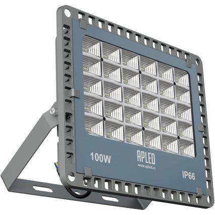 APLED - LED Vanjski reflektor PRO LED/100W/230V IP66 10000lm 6000K