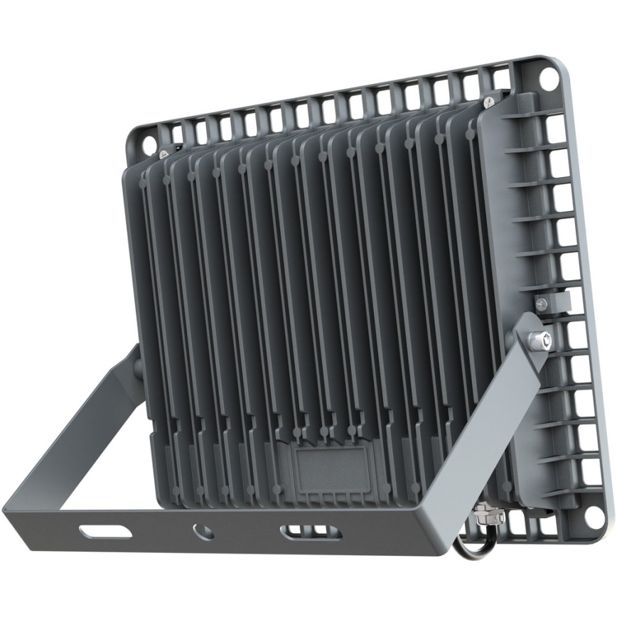 APLED - LED Vanjski reflektor PRO LED/100W/230V IP66 10000lm 6000K