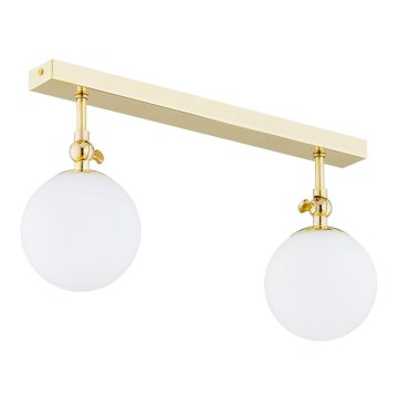 Argon 0844 - Nadgradni luster za kupatilo LATINA 2xE14/7W/230V IP44 mesing