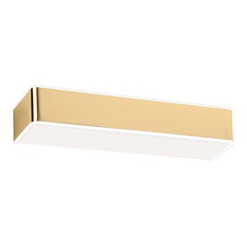 Argon 0874 - Zidna lampa RODAN 2xE27/15W/230V zlatni