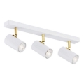 Argon 1475 - Spot svetiljka LAGOS 3xGU10/5W/230V bela/zlatna