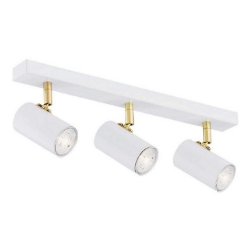 Argon 1475 - Spot svetiljka LAGOS 3xGU10/5W/230V bela/zlatna