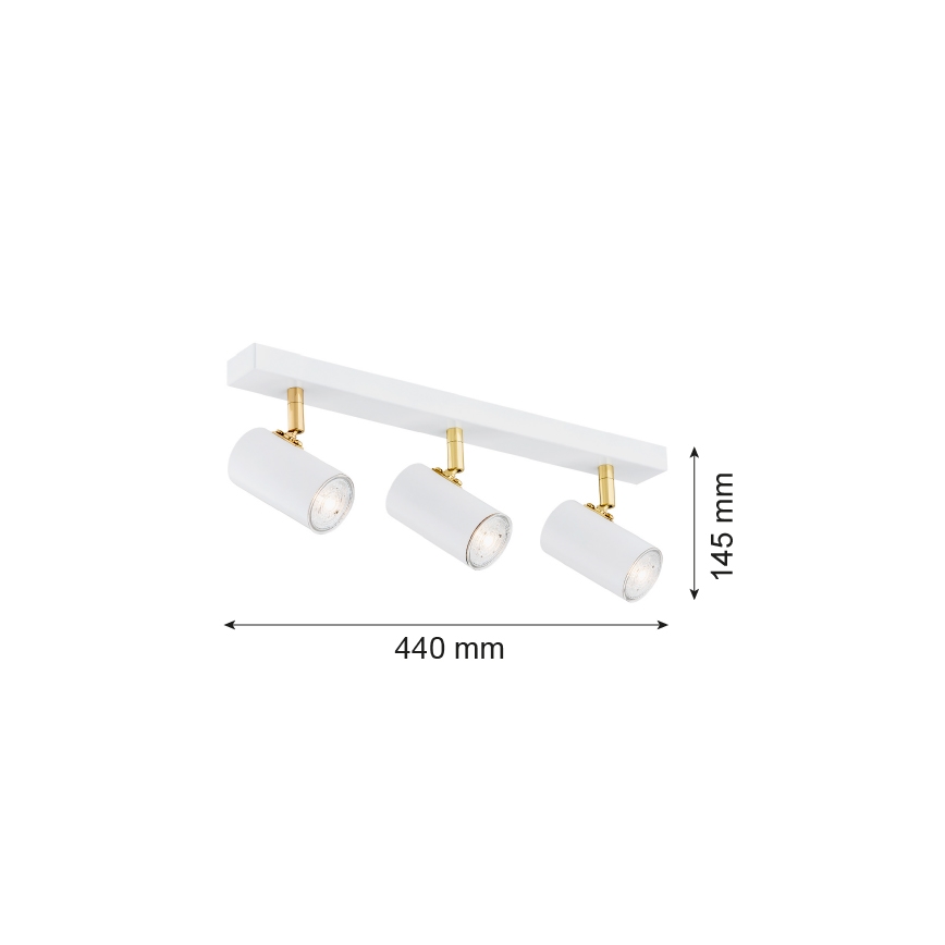Argon 1475 - Spot svetiljka LAGOS 3xGU10/5W/230V bela/zlatna