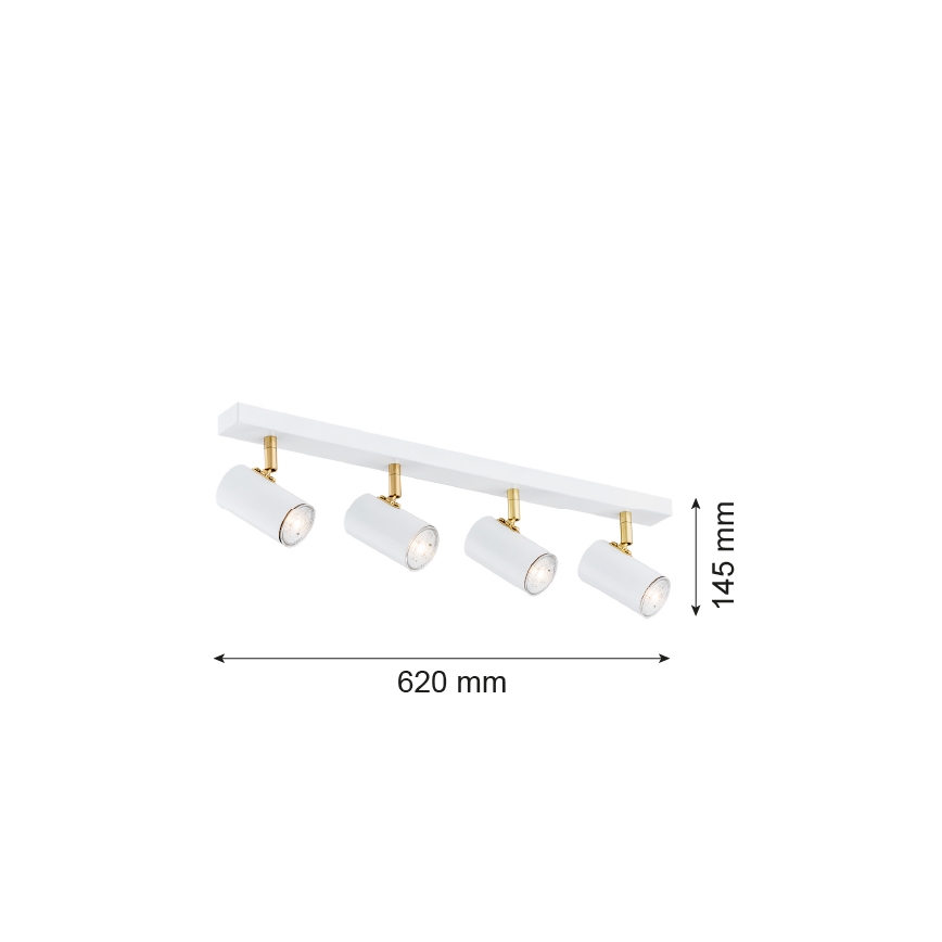 Argon 1689 - Spot svetiljka LAGOS 4xGU10/5W/230V bela/zlatna