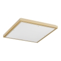Argon 1816 - Plafonjera CARLSON 4xE27/15W/230V 60x60 cm zl.