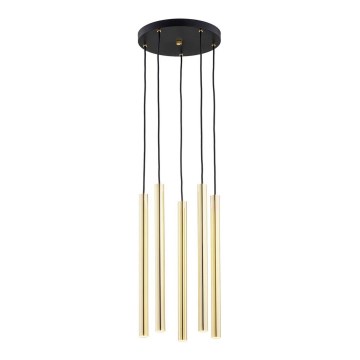 Argon 2109 - LED luster na sajli SICILIA 5xLED/4,5W/230V