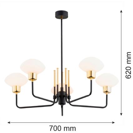 Argon 2128 - Viseći luster RAVELLO 5xE14/15W/230V crni/zl.