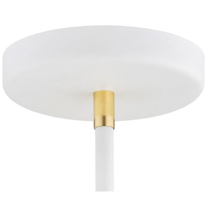 Argon 2551 - Viseći luster AVALONE 6xE27/15W/230V bela/zl.