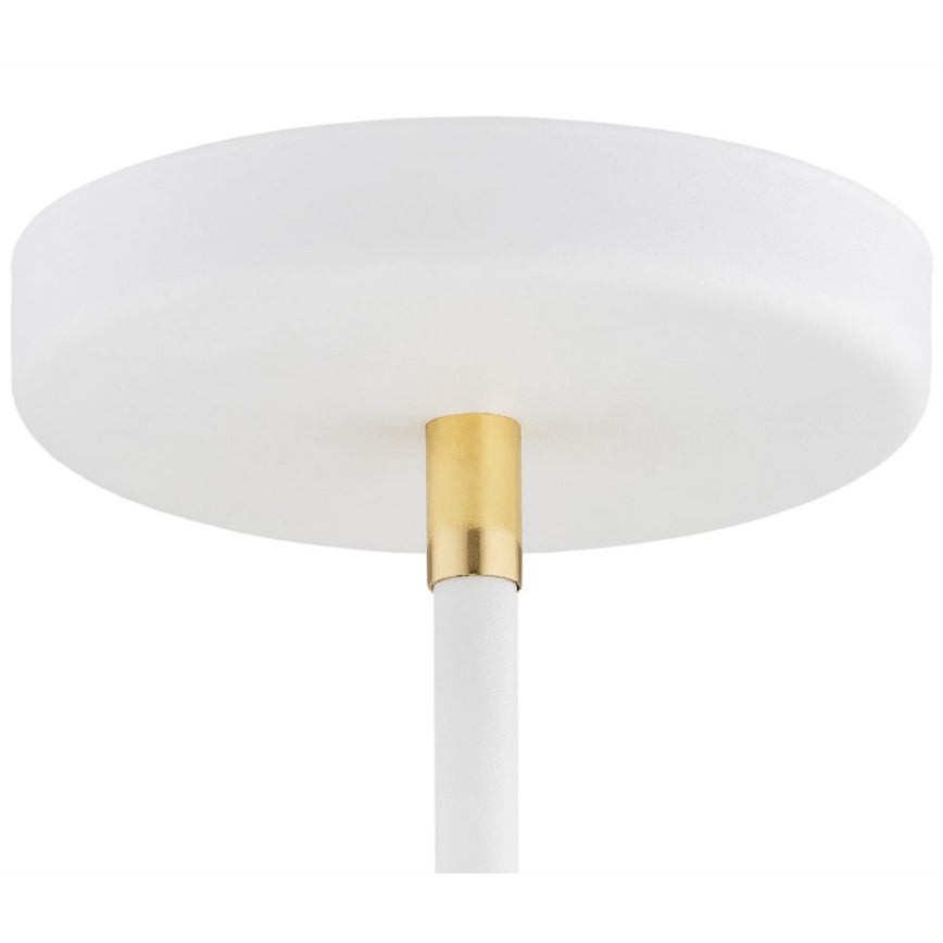 Argon 2551 - Viseći luster AVALONE 6xE27/15W/230V bela/zl.