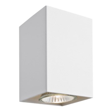 Argon 3087 - Plafonjera TYBER 3 1xGU10/50W/230V