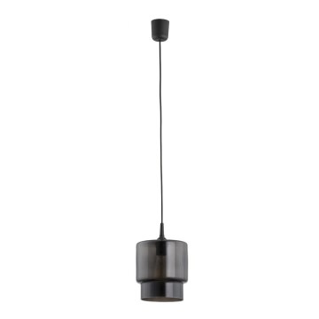 Argon 3270 - Luster na sajli NEWA 1xE27/15W/230V crno