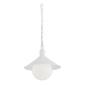 Argon 3296 - spoljašnji luster ERBA BIS 1xE27/60W/230V