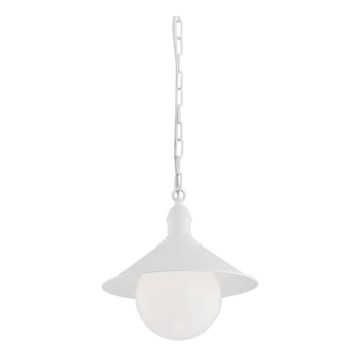 Argon 3296 - Spoljašnji luster ERBA BIS 1xE27/60W/230V