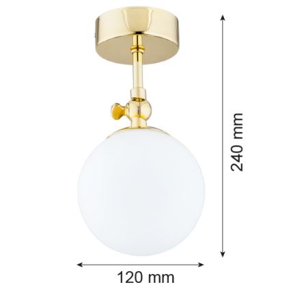 Argon 4001 - Kupatilski plafonski luster LATINA 1xE14/40W/230V IP44